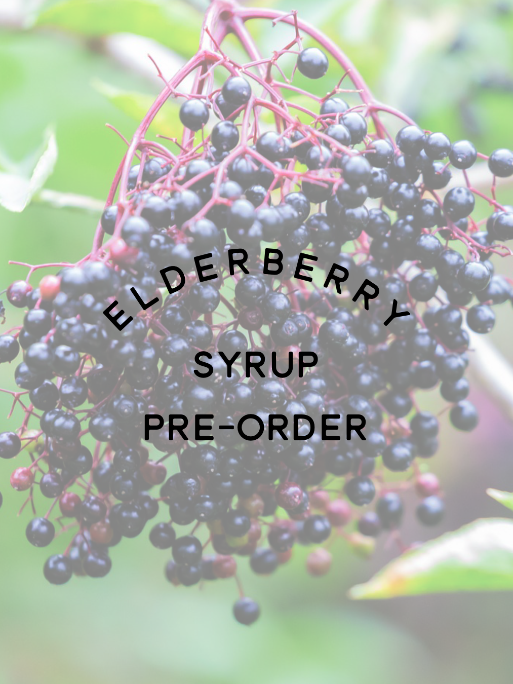 Elderberry Syrup Pre-Order
