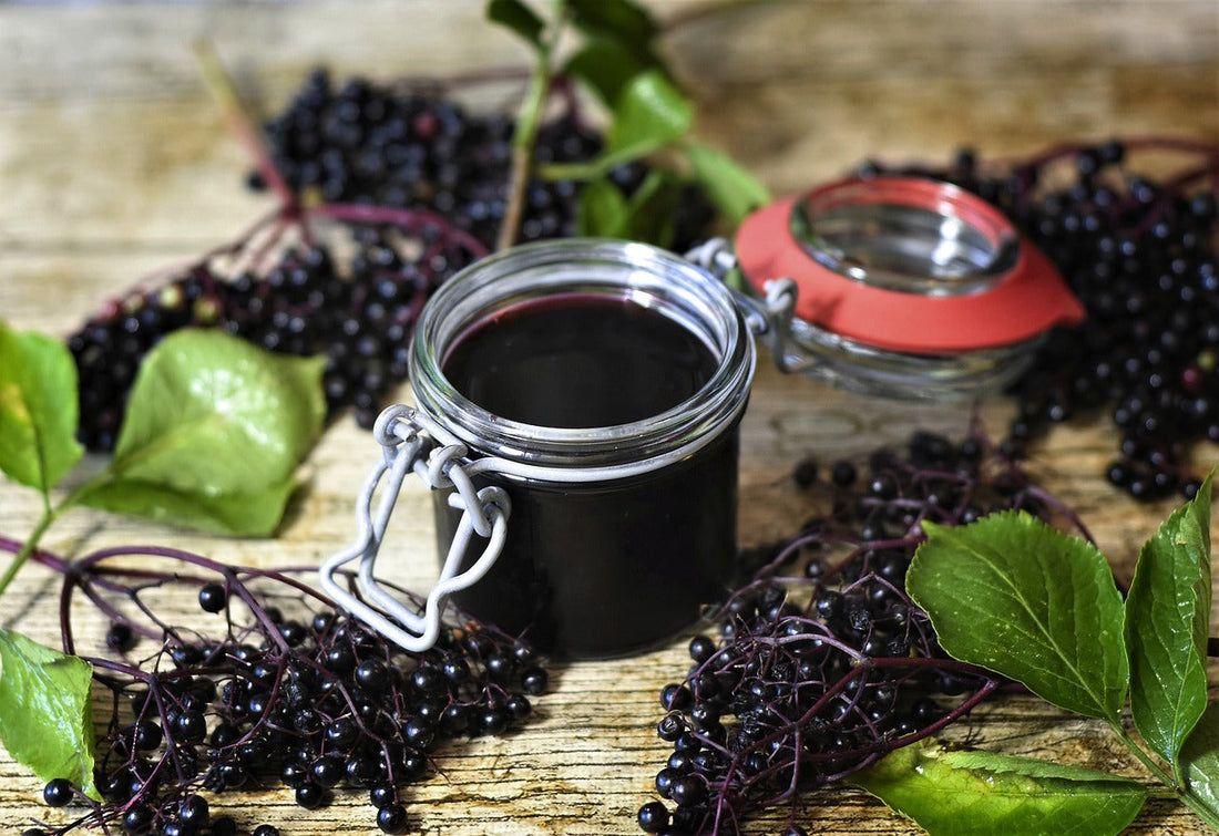 Unlocking the Immune-Boosting Magic of Elderberries: Your Friendly Guide