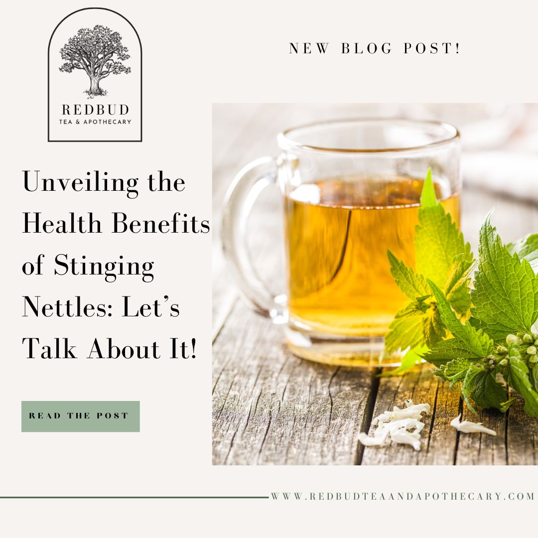Unveiling the Health Benefits of Stinging Nettles: Let's Talk About It!